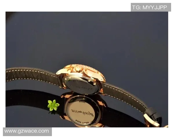 燃情绿茵猜球星足球动画带你体验竞技与智慧的双重魅力