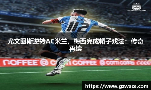 333体育官网