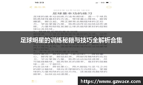 333体育官网