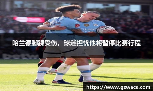 哈兰德脚踝受伤，球迷担忧他将暂停比赛行程